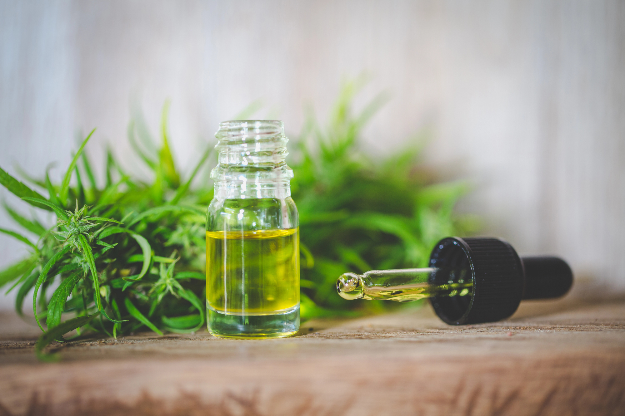 Content Marketing for a Botanicals Membership Org